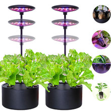 ˮ��N�˙C����Nֲ�C�o�������߲��O�����ֲ�ﻨ��ˮ��