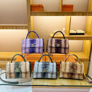 handbagŮʿ����Ů�羳2026�¿�Ů���͹��߼y朗l�μ�б�������
