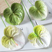 �ָ�3D�t�ƻ��Z�Ʒ��滨ֲ���c���Ļ�Y�bٻ��廨�S�����l