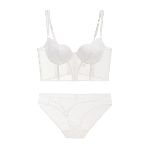 Fishbone thin mesh splicing bra vest European and American sexy style underwear body shaping push-up French long bra set