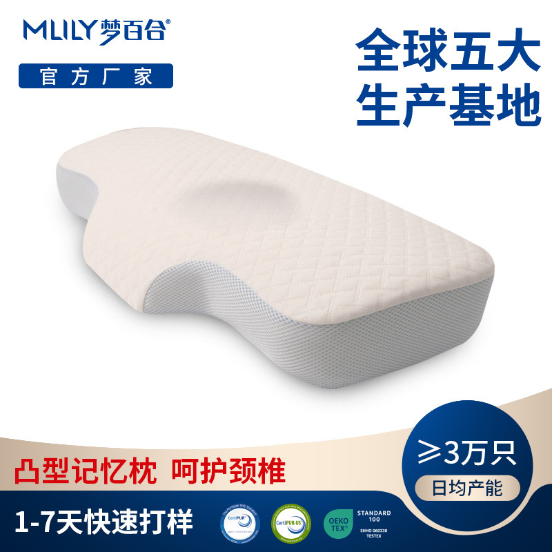 亚马逊定制蝶形家用记忆枕睡眠酒店太空慢回弹记忆棉枕头|ms