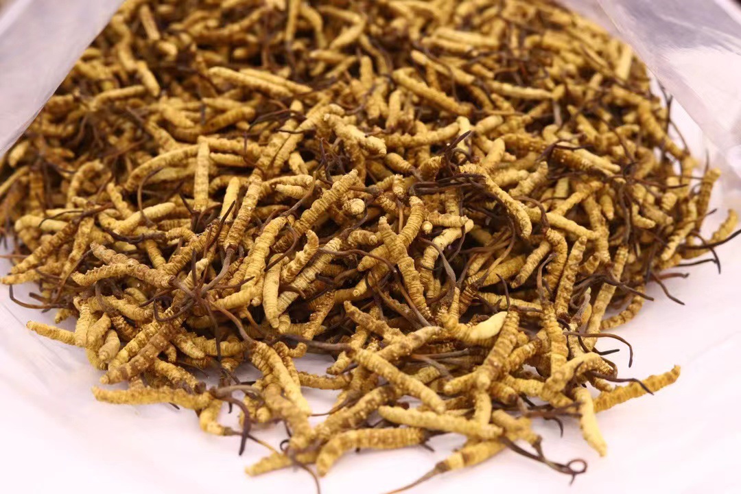 5f946f0eb8ef579bb8c62d62da52ae