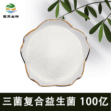 �����ͺ�������100�|������������������� �����������ʳƷ����