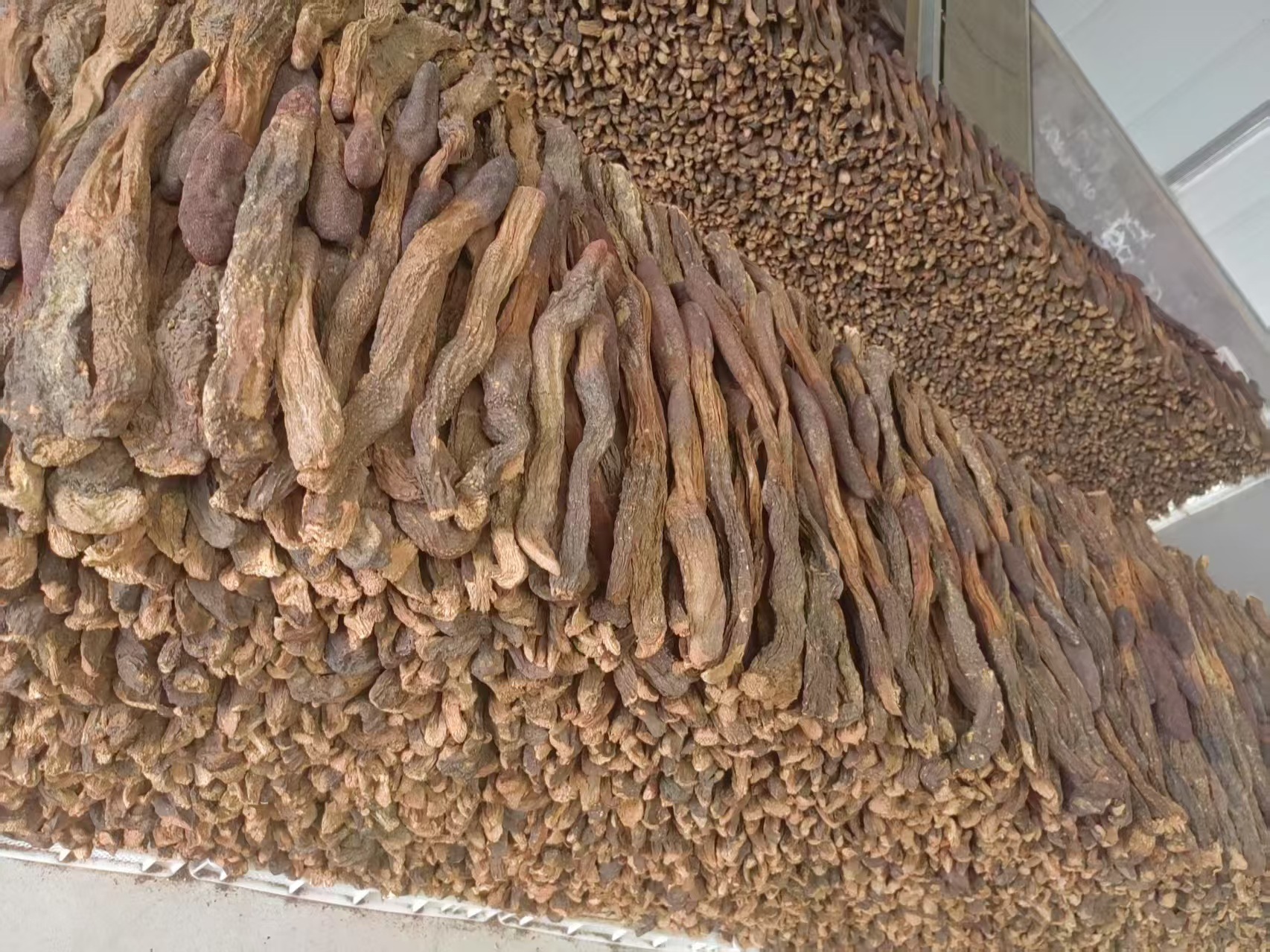 Dried Cynomorium Songaricum Slices Suo Yang 100g Traditional Herbal Decoction Pieces for Soup and Tea specifications