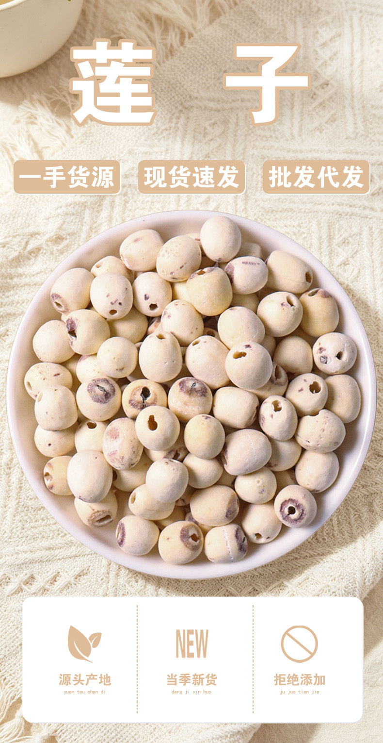 Lotus Seed (Nelumbo nucifera) — Hunan White Lotus Seeds, Core-Removed, Sulfur-Free, 500g key features