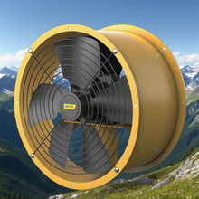 SLCLȏN͟QܵLCIŚȹLC