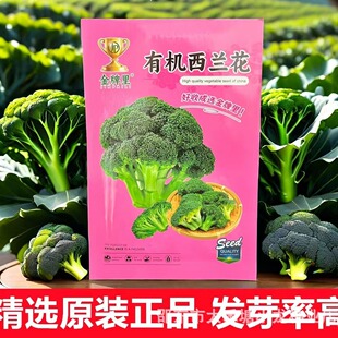 �ЙC���m���N���ļ�����Ҭ�˷N���߲˷N�ӾG�������m���N�ӻ�����