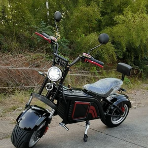 Yeni Harley elektrikli avtomobil, böyük təkərli 60V iki təkərli motosiklet 2025