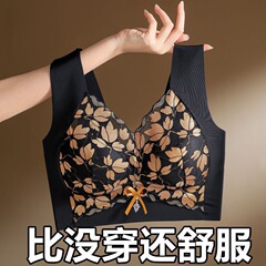 新品无痕蕾丝美背心内衣一体式固定杯胸垫舒适聚拢收副乳时尚文胸