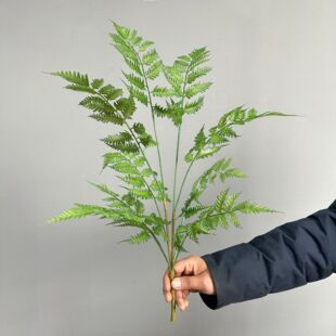 ާ���ɳ�_�~��˹ާ����Gֲ΢���^�쾰��ꐵز��b�ֲ���~��