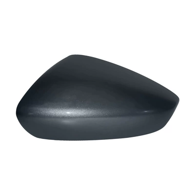 Rear mirror/rearview mirror assembly signal