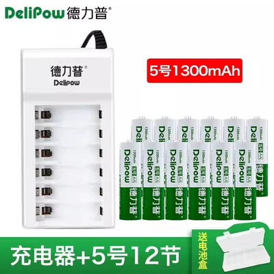 Delip No. 5 Rechargeable Battery Hibrid akkumulyator batareyaları - 6-slot-charger-no-5-1300mah-12-sections
