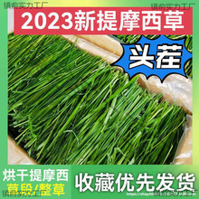 һlĦݰlֱӸɲݱZiĦֱ