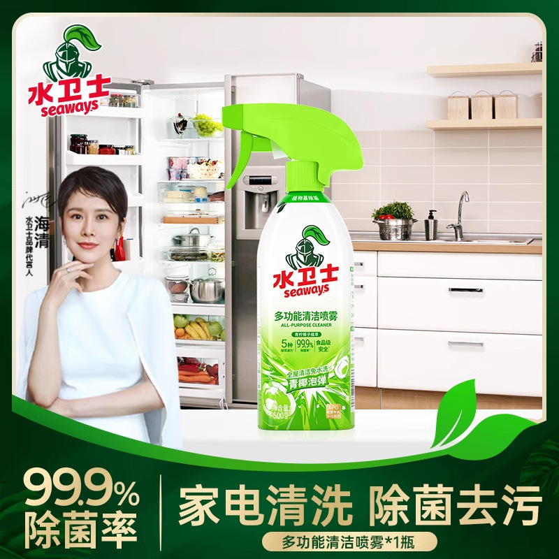 다기능 청소 스프레이 500g*1병