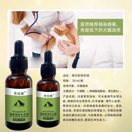 猫咪狗狗宠物免疫蛋白肽猫狗通用赖氨基酸宠物营养一件代发