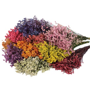 ins Nordic-style Crystal Dried Grass Flower Bouquet Dried Flowers Air-dried Decorative Flower Artifact Handmade diy Flower Material Glue Drops