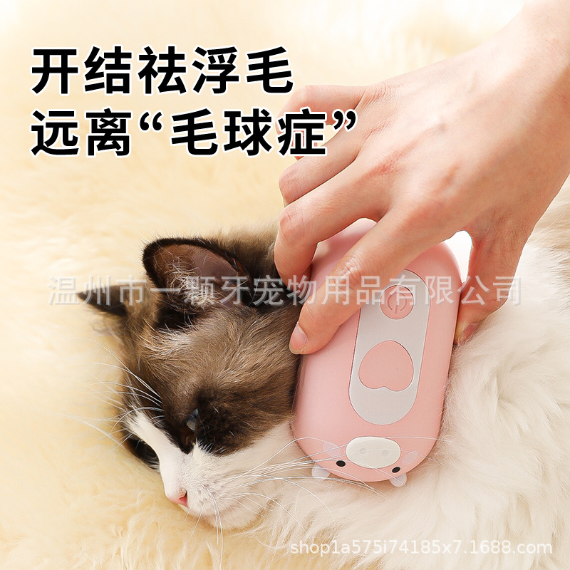 새로운 국경 간 애완 동물 빗 스프레이 빗 고양이 애완 동물 용품 비 비행 바늘 빗 애완 동물 빗 고양이 빗