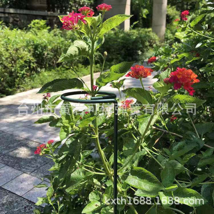 批发铁艺户外花奔支掌杆花架爬藤架花支架植物支架杆扶直架固定