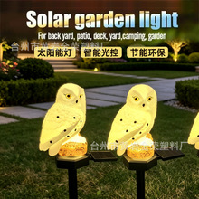 ���R�d�羳̫������ϵز�؈�^��LED�������ˮ��ƺ����ͥԺ �b�