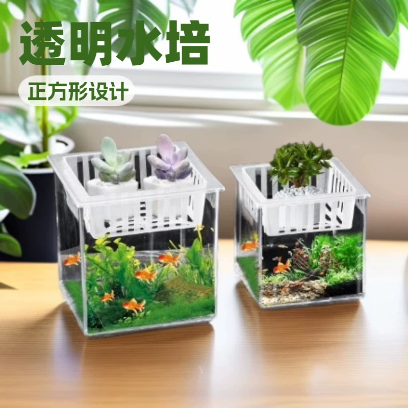 Прозрачный гидропонный цветочный горшок Квадратный горшок