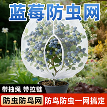 蓝莓防虫网罩带抽绳拉链果树防鸟网罩户外园艺防护网透明防虫防鸟