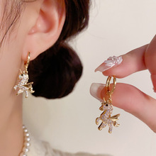 2026���¿�r�Џ͹ŝM荪��ǫF���ۚ��|���s�ٴ��OӋ�ж���Ů