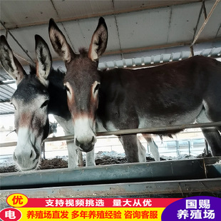 �����H�������H������С���H�F���Iһ�^�ɰٶ���С�H�x�r���Ƕ�