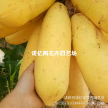 ��Ʒ����̩���S��o��ľ���糬���ش������S��ľ�Ϲ������ļ��Y��