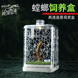 �����B���X�X���ͺ��J͸��؜ؽй޸�͸���Q�x�޺������