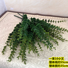 ����10���ȼ������~��c�廨�b��ȼ����~�羳�ٻ��Gֲ��������~