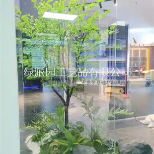 �SϞʯ06ͥԺ���@�̈��쾰���Ô[������ܛ�b����ܛ�bʯ�^