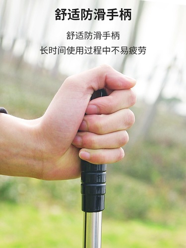 Stainless steel rake, agricultural rake, grass grabber, weed sweeper, leaf sweeper, small telescopic gardening tool