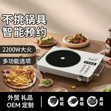 110V电陶炉炒菜火锅电陶炉家用电炖锅大功率电陶炉可出口代发礼品