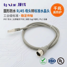 ���Sֱ�N �A�η�ˮ RJ45 ĸ�^�D��׼ RJ45ˮ���^���ξW��