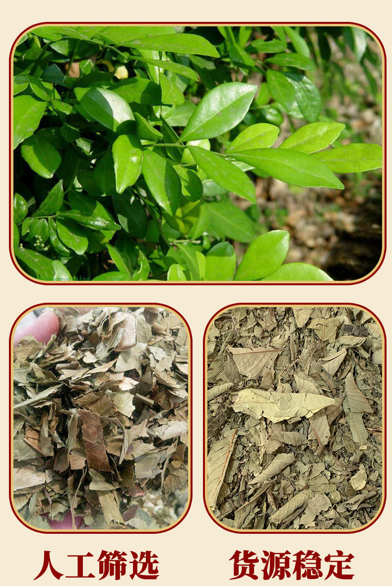 Dried Tangerine Leaf Ju Ye 500g Natural Sun Dried Citrus Herb for Culinary and Traditional Use overview
