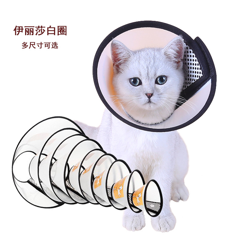 Amazon Pet Elizabeth Circle Cat Dog Collar Cabello de belleza Anti-lamer Collar de perro Mordedura Collar de mascota al por mayor