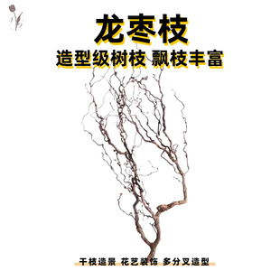 �������֦��֦�ɘ�֦�쾰�b�ɲ廨�Ƶ걳�����bzӰ����