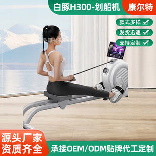 White Dolphin H300-Swing Machine Fitness Complete Set of Sports Equipment Small Foldableing Professional Multi-Functional Indoor Back Training