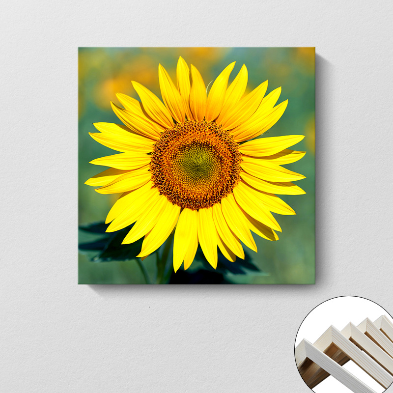 Pintura decorativa coreana girasol Sala de estar moderna y simple flores de sol colgando pintura mural del dormitorio del restaurante pintura cuadrada sin marco