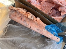 三文魚大西洋鮭魚碎肉邊角料魚肉背部褐色肉無刺魚油豐富