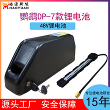 48V52V电动车Super改装车电动自行车鹦鹉DP-7款锂电池