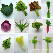 �[PU�ٴ��[ģ���߲�ʳƷ�zӰ�����[�����߃�ͯ��̴����[���