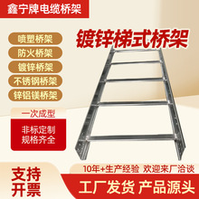 厂家防火梯式电缆桥架多规格大跨镀锌加厚喷塑阻燃走线槽桥架