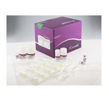 天根DP350-02/DP350-03高效植物基因组DNA 提取试剂盒50次/200次