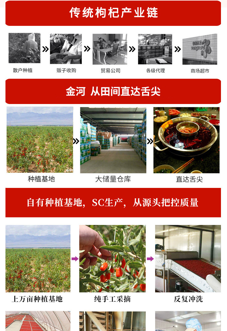 Ningxia Goji Berries Dried Wolfberry Fruit Gou Qi Zi Ready to Eat 250g Bag in use