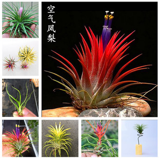 �՚��P��t�G�S���`���������~�����o������ֲ��Gֲ�����҃Ȼ���