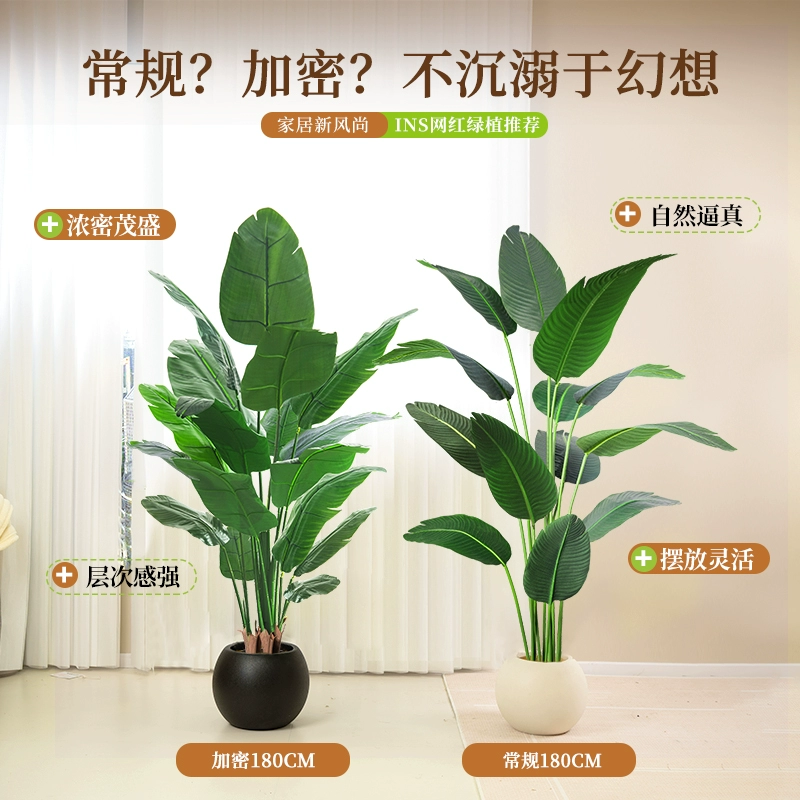 ✅ Large living room floor-standing ornaments indoor sofa TV cabinet next to fake plant Traveler Banana Bird of Paradise Green