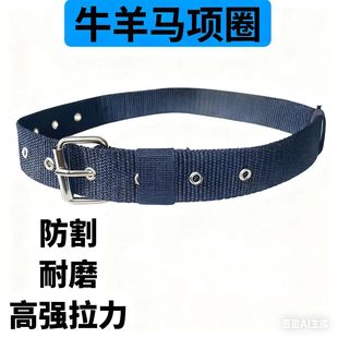 �S��ţ���R���Ȧ���� �����Bֳ��׿��{���ӌ��Ӻ���ţ����