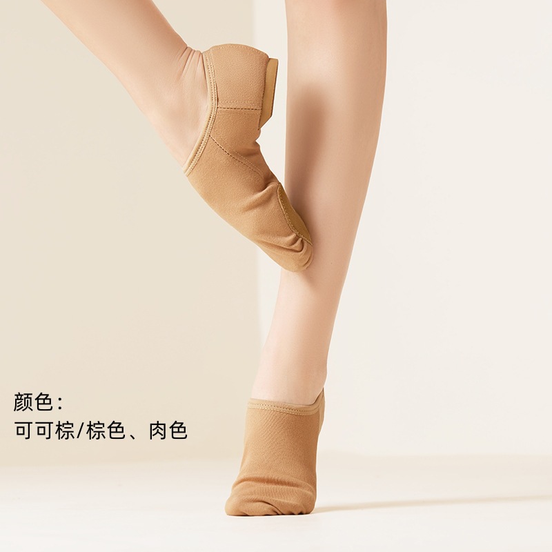 Dance Shoes, Elastic Cloth Shoes, Jazz Shoes, Women's Adult Soft-Soled Practice Shoes, Chinese Dance Body Shoes, Lace-Free Flat Heels