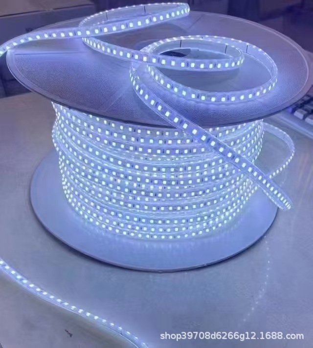 12V / 24V LED de bajo voltaje sólido silicona lámpara IP68 impermeable piscina submarina al aire libre 220V sin conducción image 7